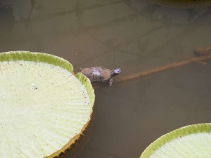 PA055557-1024
