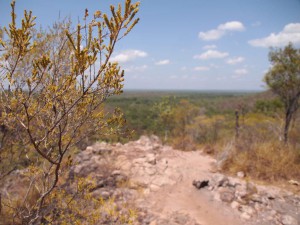 PA115671-1024