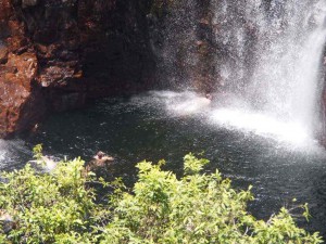 PA115684-1024