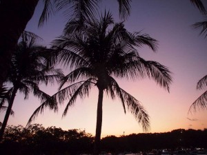 PA125788-1024