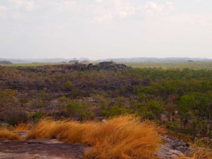 PA145890-1024